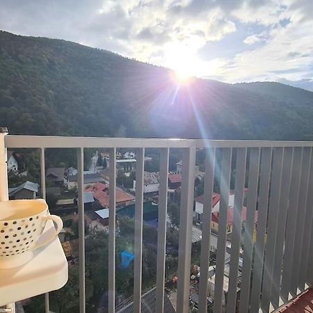 Apartament Vis De Sinaia ! 외부 사진