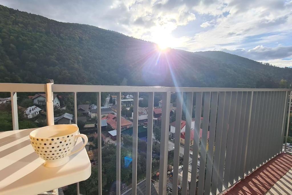 Apartament Vis De Sinaia ! 외부 사진